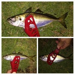 アジンガー1910〜1940