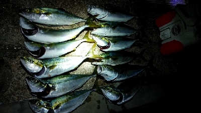 つばーす×たちうお