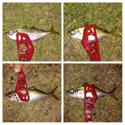 アジンガー1825〜1935