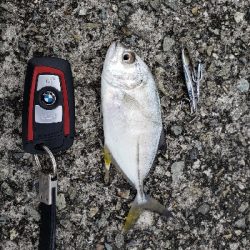 久しぶりの淡路島！