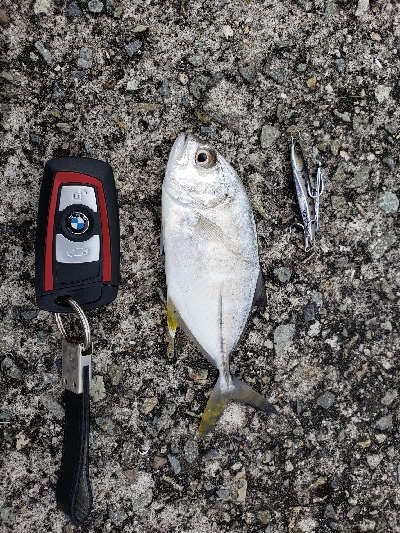 久しぶりの淡路島！