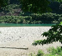 宮リバー度会公園