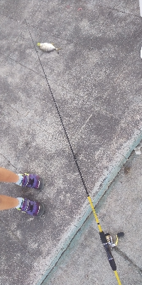 ボウズ逃れが、、メッキ？