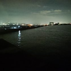 サーベルハント!