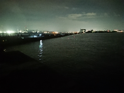 サーベルハント！