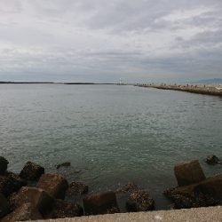 超激渋!サーベルハント