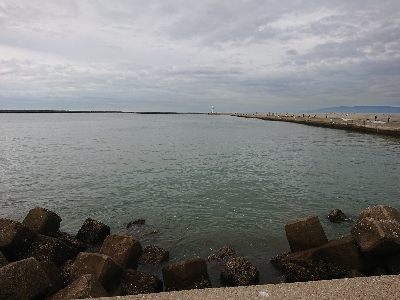 超激渋！サーベルハント