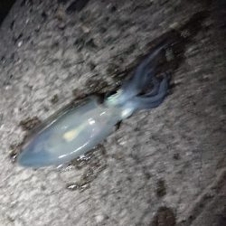 真夏のように暑い