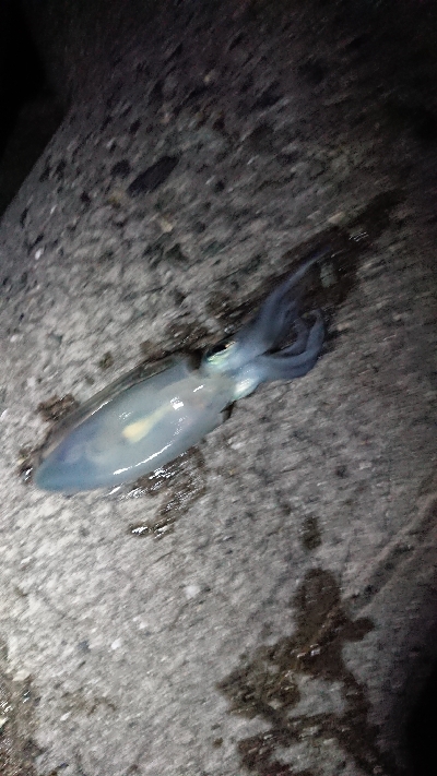 真夏のように暑い