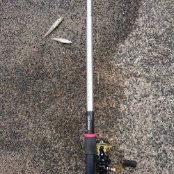 今シーズンイチ