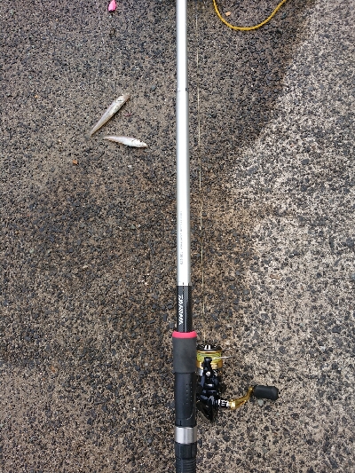 今シーズンイチ