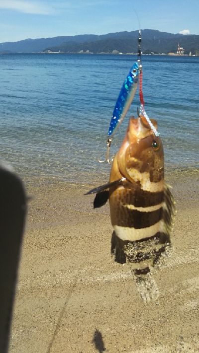 まさかこんな所で