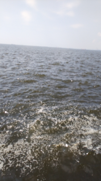 久しぶりによく釣れた気がした！