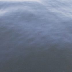 なんとか年無し？