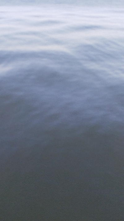 なんとか年無し？