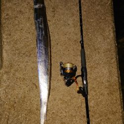 前の日のリベンジ。