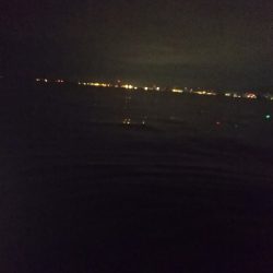 生涯最多バラシ