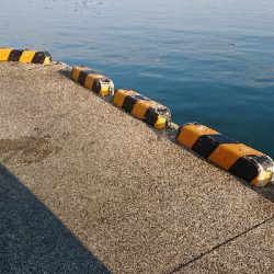 よく引きました！