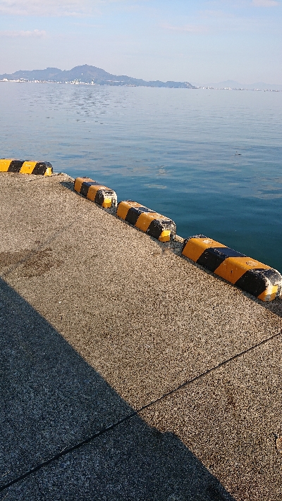 よく引きました！