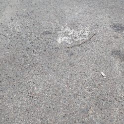 サーベリング。