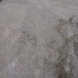 サーベリング釣行