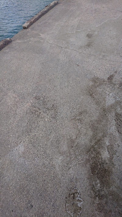 サーベリング釣行