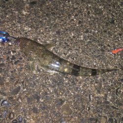 ライトタクックで