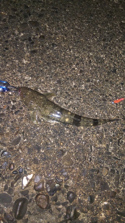 ライトタクックで