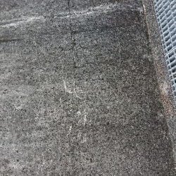 久しぶりのフラットフィッシュ!