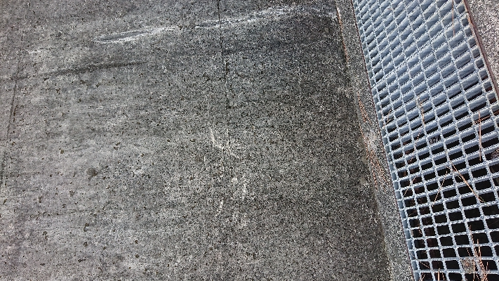 久しぶりのフラットフィッシュ！