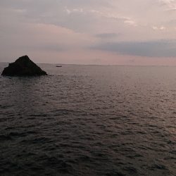 ロックフィッシュ