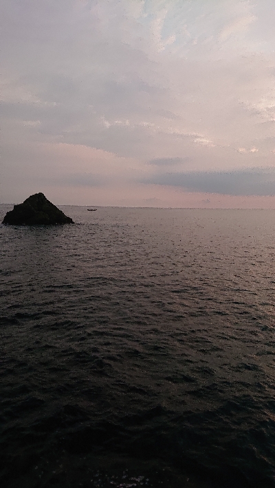 ロックフィッシュ