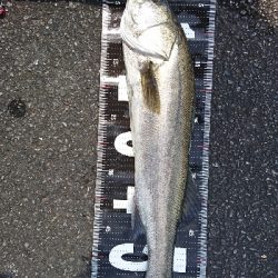 デーモンに出た〰️