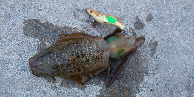 爆発〰️(／ロ゜)／