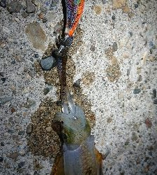 ちょこっとエギング