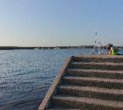 キス釣り、五目釣り