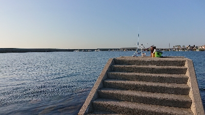キス釣り、五目釣り
