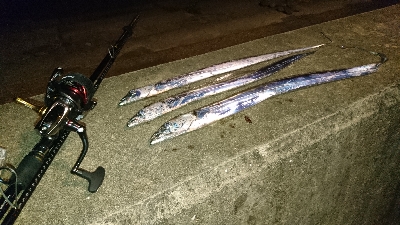 サーフワインド