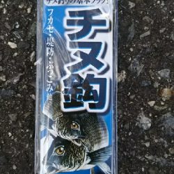 久しぶりのコブダイ