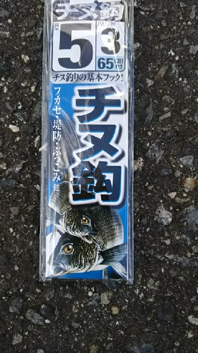 久しぶりのコブダイ