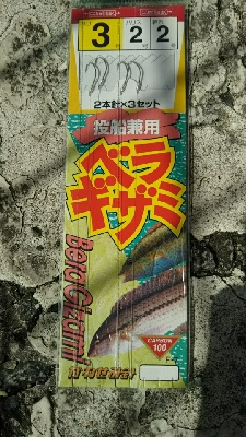 投げ釣りでガシラ