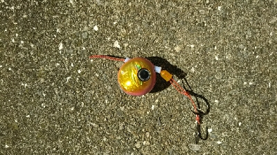 台風前のタイラバ