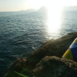 ヒラマサ乱舞！