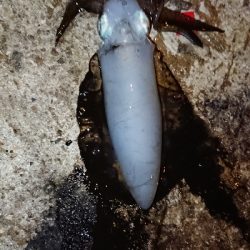 皆さんは知ってる？