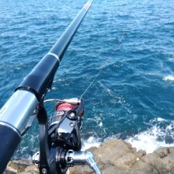 集中、執念、我慢！