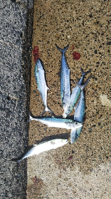 満潮時 一時間半で