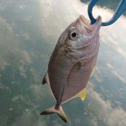 メッキ好調です！