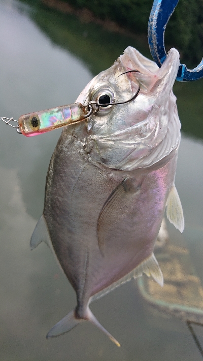 メッキ絶好調です！