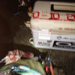 厳しいアジング