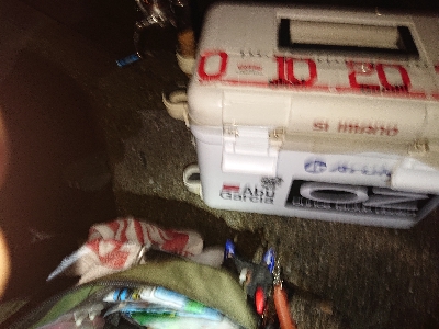 厳しいアジング